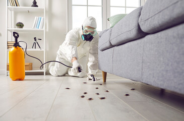 Pest Control